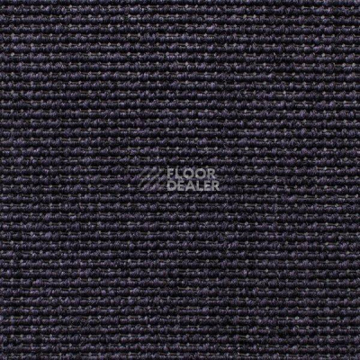 Ковролин Carpet Concept Eco Iqu 9263 фото 1 | FLOORDEALER