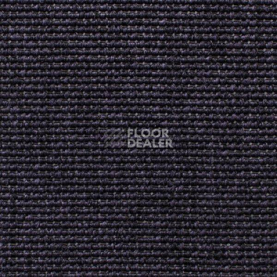 Ковролин Carpet Concept Eco Iqu 9263 фото 1 | FLOORDEALER