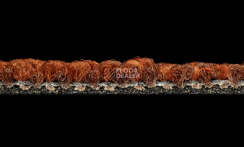 Desso Desert 5011 фото 4 | FLOORDEALER
