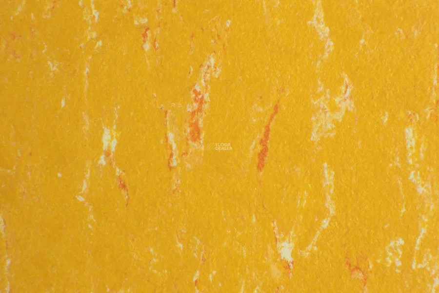 Forbo Marmoleum Solid Piano 3622-362235 mellow yellow фото 2 | FLOORDEALER