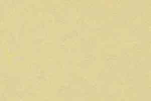 Кварцвиниловые полы Forbo Marmoleum Modular Colour 3566 фото  | FLOORDEALER