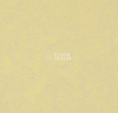 Кварцвиниловые полы Forbo Marmoleum Modular Colour 3566 фото 1 | FLOORDEALER