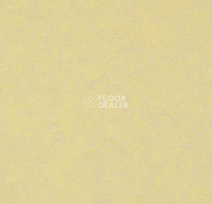 Кварцвиниловые полы Forbo Marmoleum Modular Colour 3566 фото 1 | FLOORDEALER