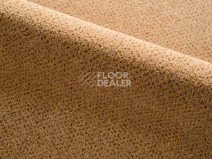 Ковролин Radici Verona 2409 фото 1 | FLOORDEALER