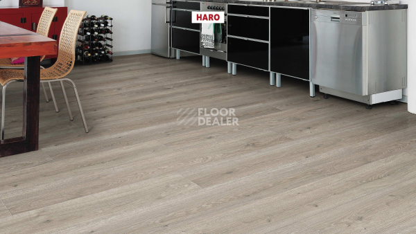 Ламинат Haro Tritty 100 4V Дуб Флавия Серый 544702 фото 4 | FLOORDEALER
