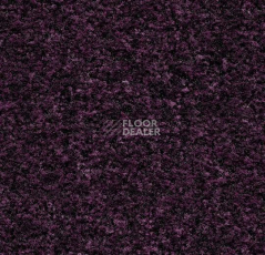 Грязезащитные покрытия Forbo Coral в плитке 5739 Byzantine Purple фото 1 | FLOORDEALER