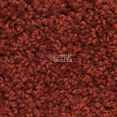 Ковролин Girloon Body1 151 фото 1 | FLOORDEALER