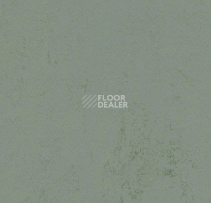 Линолеум Forbo Marmoleum Decibel 375135 tundra фото 1 | FLOORDEALER