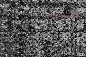 Ковровая плитка Balsan Carre Couture 910 Darius фото  | FLOORDEALER