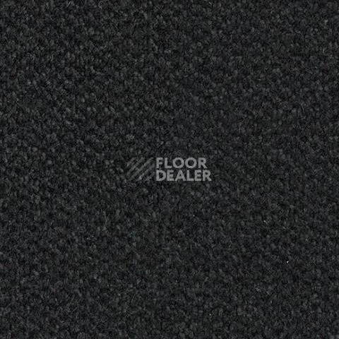 Грязезащитные покрытия Forbo Coral Marine FR 4210 Rotterdam Black фото 1 | FLOORDEALER