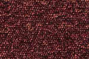 Ковролин Stratos Associated Weavers 19 фото  | FLOORDEALER