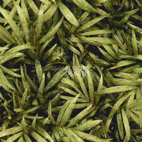 Ковролин Halbmond Pure Elements 13838 фото 1 | FLOORDEALER