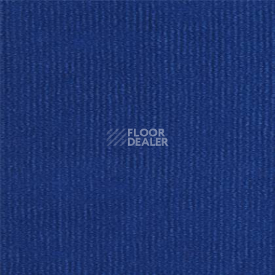 Ковролин Tapibel Ascot 3553 фото 1 | FLOORDEALER