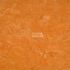 Линолеум Gerflor Marmorette AcousticPlus DLW 2121-073 фото 1 | FLOORDEALER