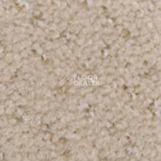 Ковролин Infloor Como 850 фото 1 | FLOORDEALER