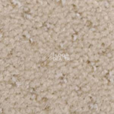 Ковролин Infloor Como 850 фото 1 | FLOORDEALER