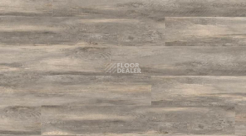 Кварцвиниловые полы Gerflor Creation 55 0856_Paint_Wood_Taupe фото 1 | FLOORDEALER