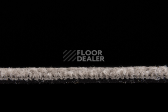 IVC Animate 731 фото 3 | FLOORDEALER