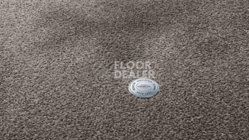 Ковролин Vorwerk Superior 1064/Lyrica Vorwerk 5x81 фото 1 | FLOORDEALER