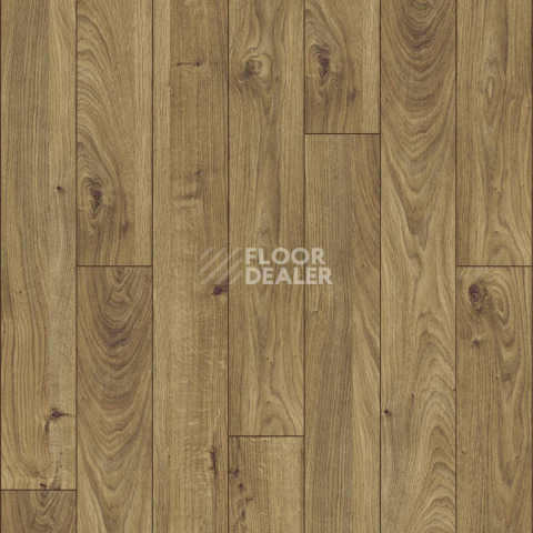 Kronotex Mammut d3077 Дуб Еверест Бронза фото 5 | FLOORDEALER