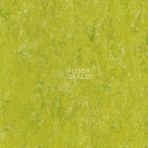 Линолеум Gerflor Marmorette Acoustic DLW 121-132 фото 1 | FLOORDEALER