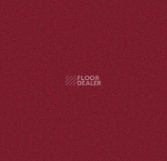 Ковролин Forbo Showtime Nuance 900206 фото 1 | FLOORDEALER