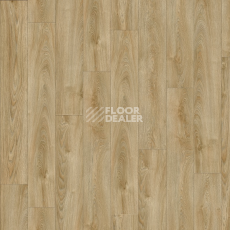 Кварцвиниловые полы Moduleo Next Acoustic дерево VALLEY OAK 240 BO фото 1 | FLOORDEALER