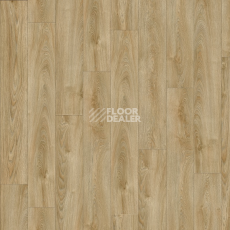 Кварцвиниловые полы Moduleo Next Acoustic дерево VALLEY OAK 240 BO фото 1 | FLOORDEALER