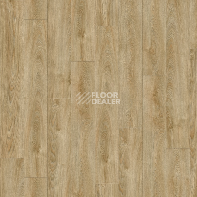 Кварцвиниловые полы Moduleo Next Acoustic дерево VALLEY OAK 240 BO фото 1 | FLOORDEALER