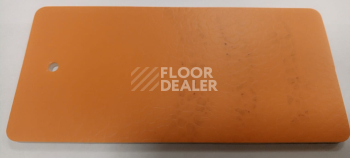 Desoma Sport Universal 6.5 0502 фото 2 | FLOORDEALER