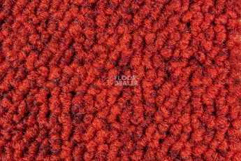 Balsan Season - Summer / Winter 570 фото 2 | FLOORDEALER