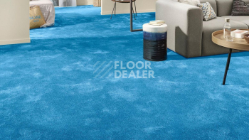 Vorwerk Superior 1064/Lyrica Vorwerk 3q64 фото 2 | FLOORDEALER