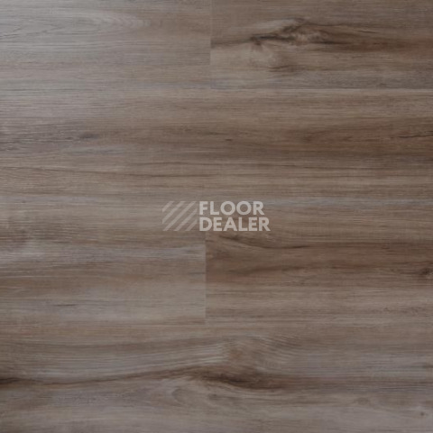 Кварцвиниловые полы Evofloor Optima Click 4.2мм Груша Карамель фото 1 | FLOORDEALER
