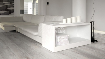 Kronotex Mammut Plus d4793 Дуб Белый Макро фото 3 | FLOORDEALER