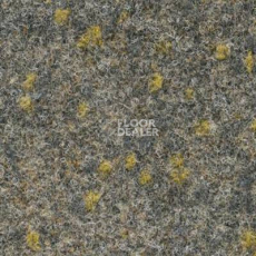 Ковролин Finett Vision Focus 805552 фото 1 | FLOORDEALER