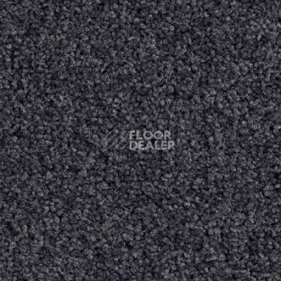 Ковровая плитка Balsan Bolero 980 фото 1 | FLOORDEALER