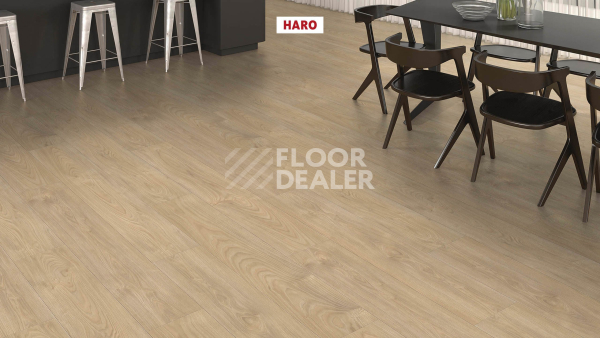 Ламинат Haro Tritty 200 Aqua 4V Клен Серебрянный Варио 544781 фото 3 | FLOORDEALER