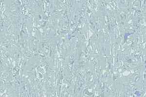 Кварцвиниловые полы Gerflor Mipolam Cosmo 2607_Aquamarine фото  | FLOORDEALER