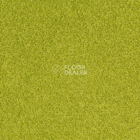 Ковровая плитка Desso Palatino 7018 фото 1 | FLOORDEALER