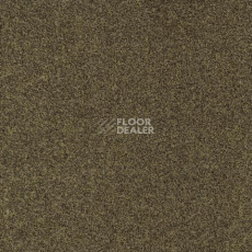 Ковролин Gleam W2W 212 Gleam w2w фото 1 | FLOORDEALER