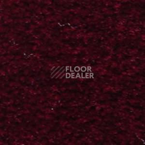 Ковролин Serene Beaulieu of America 26 фото 1 | FLOORDEALER
