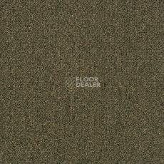 Ковровая плитка Shaw Momentum 02304 фото 1 | FLOORDEALER