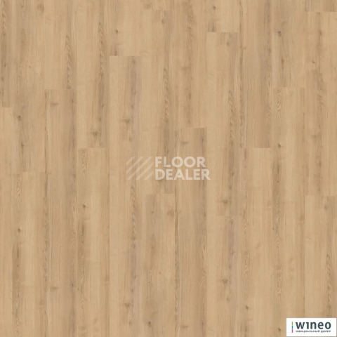 Ламинат Wineo 700 Wood L V4 8мм LA219LV4 Дуб Италия Песок фото 1 | FLOORDEALER