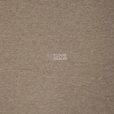 Condor Sparkle 71 фото 2 | FLOORDEALER