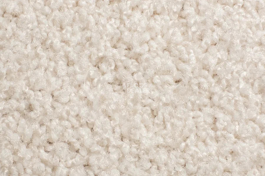 Vorwerk Exclusive1009/Elara 6c59 фото 3 | FLOORDEALER