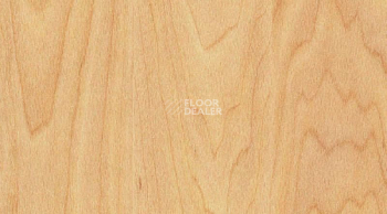 Линолеум Gerflor Taraflex Performance Wood 6381_Maple_design фото 1 | FLOORDEALER