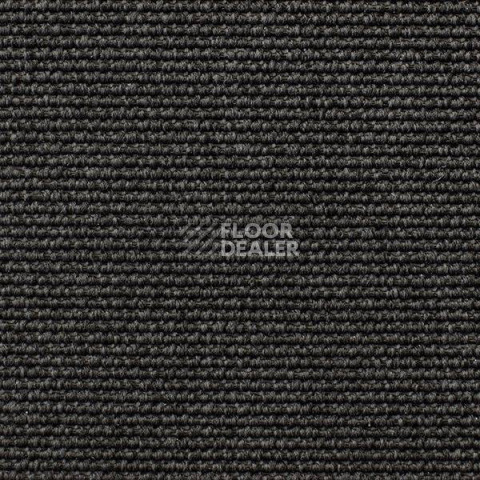 Ковролин Carpet Concept Eco Iqu 54446 фото 1 | FLOORDEALER