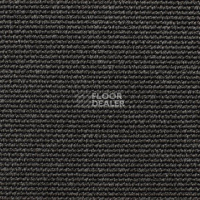 Ковролин Carpet Concept Eco Iqu 54446 фото 1 | FLOORDEALER