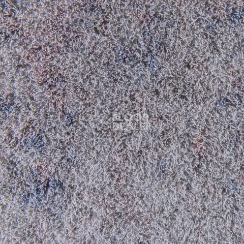 Forbo Flotex Colour Calgary 50*50 t590019 Calgary Carbon фото 2 | FLOORDEALER