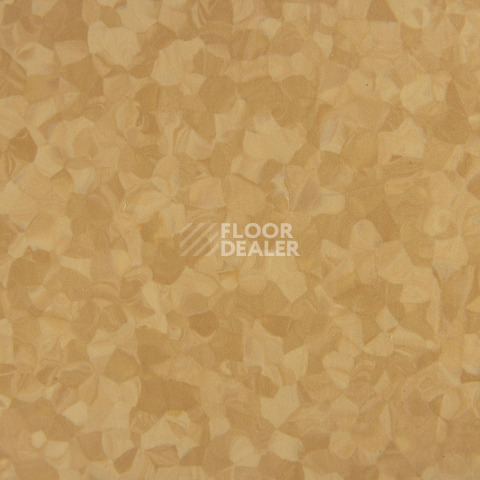 Tarkett iq Melodia 2643 фото 3 | FLOORDEALER